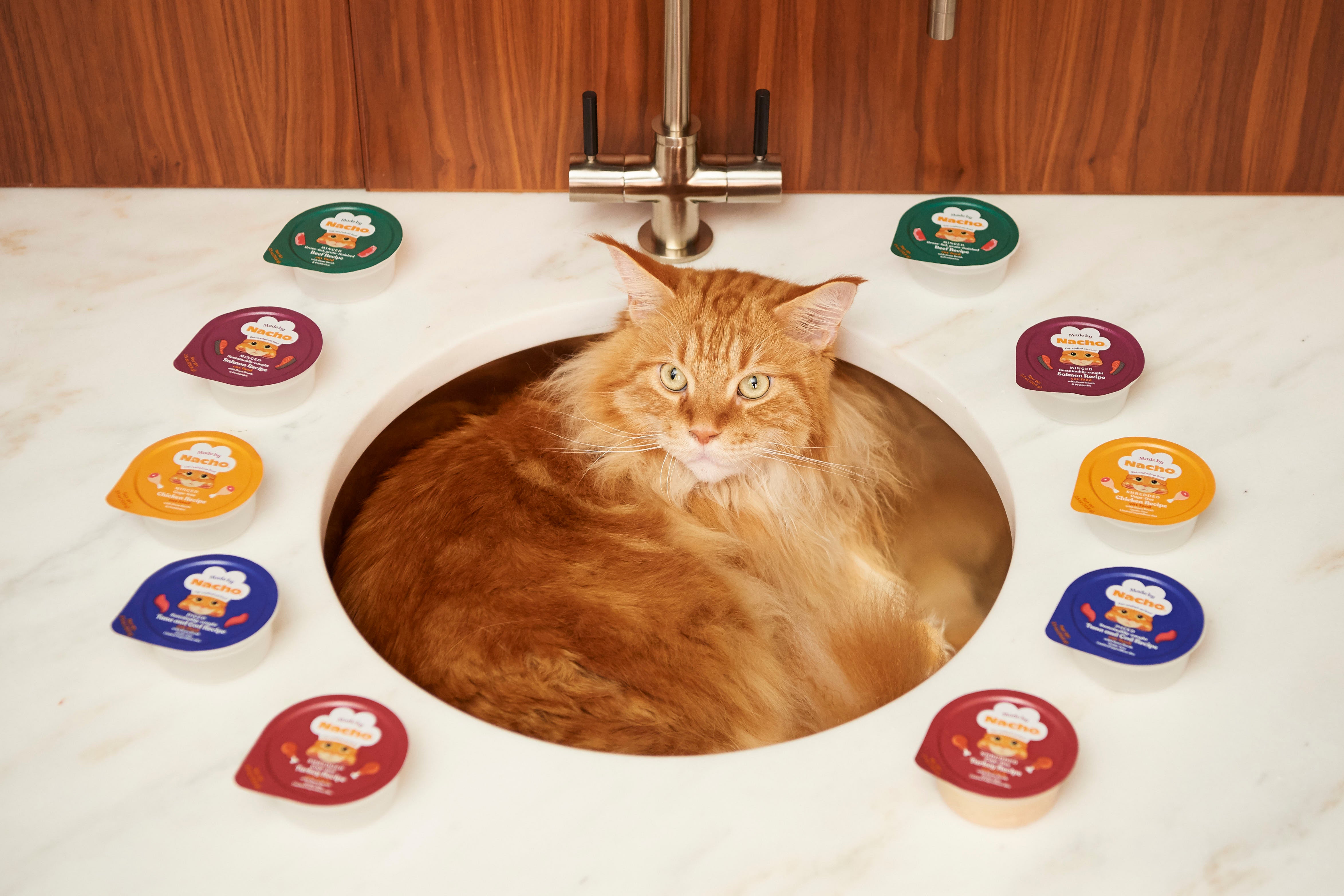 The Recipes Nacho’s Digging Into This Fall