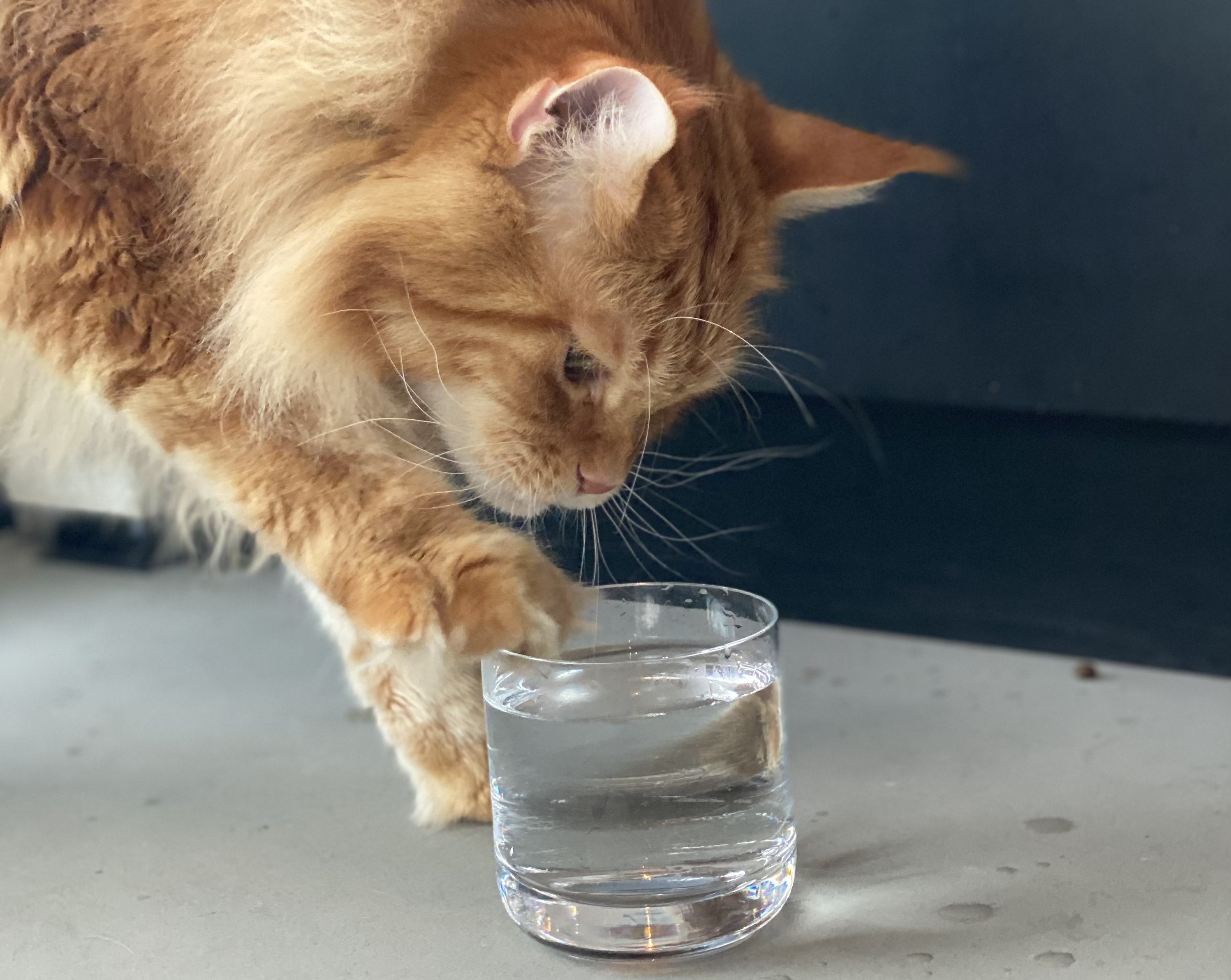 Nacho Flay staying hydrated