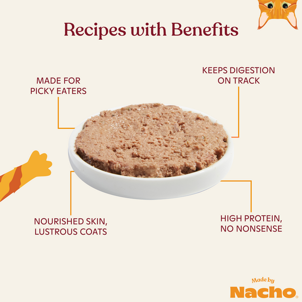 Grain-Free Turkey and Turkey Liver Recipe Pâté