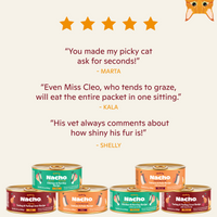 Grain-Free Turkey and Turkey Liver Recipe Pâté