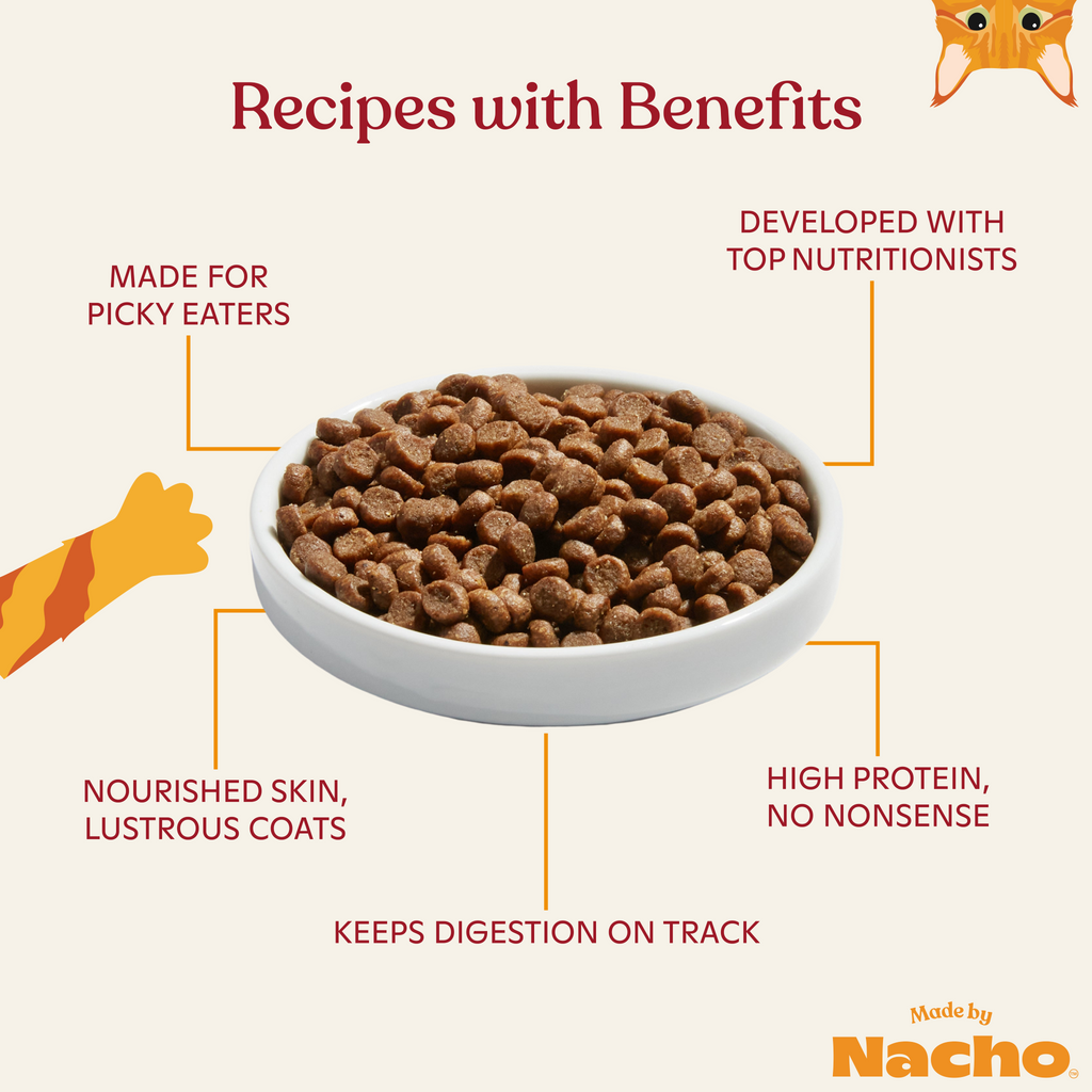 Top rated top dry cat food