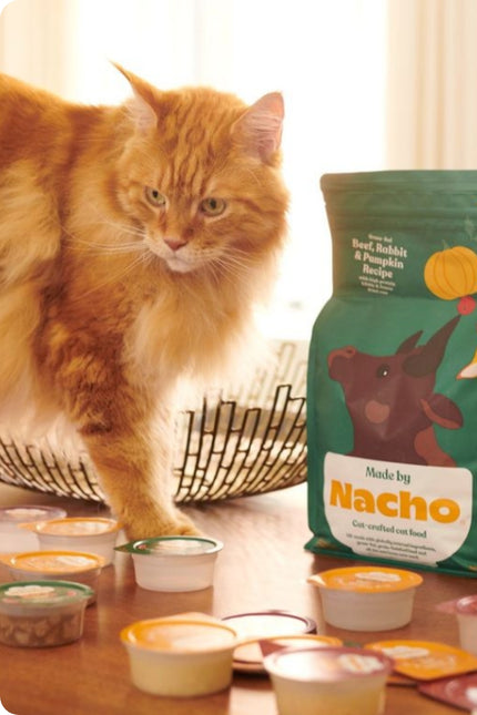 Nacho