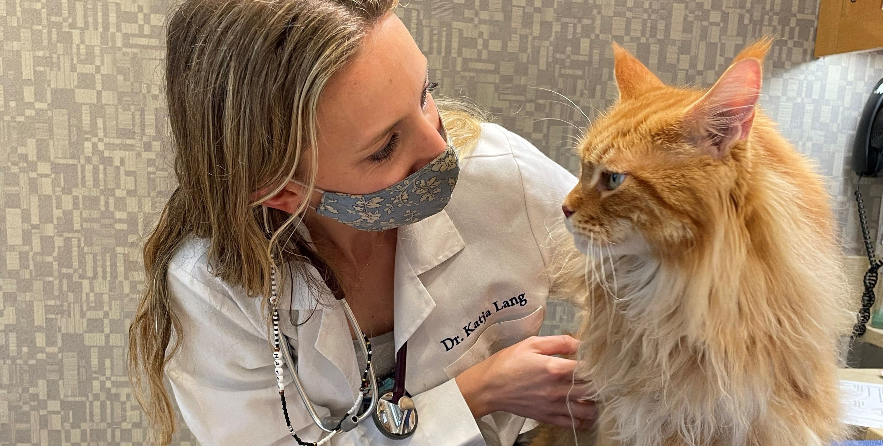 What to do before, during, and after your next vet visit