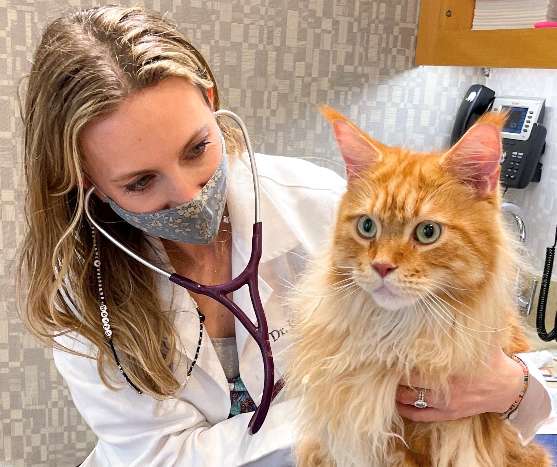 A Veterinarian's Take on Cat Winter Coats, Plus 5 Options to Try