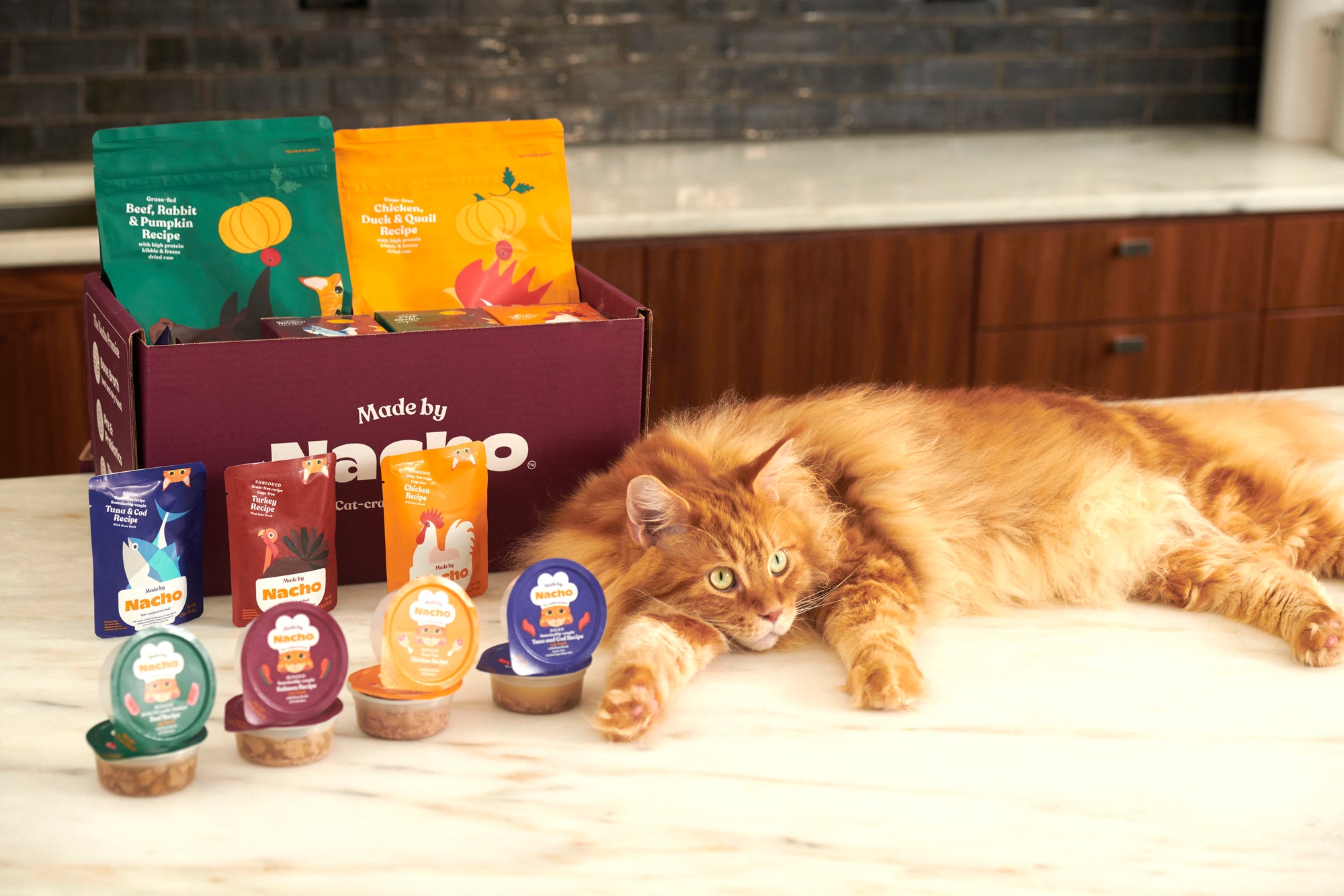 Nacho Flay with Made by Nacho Cat Food