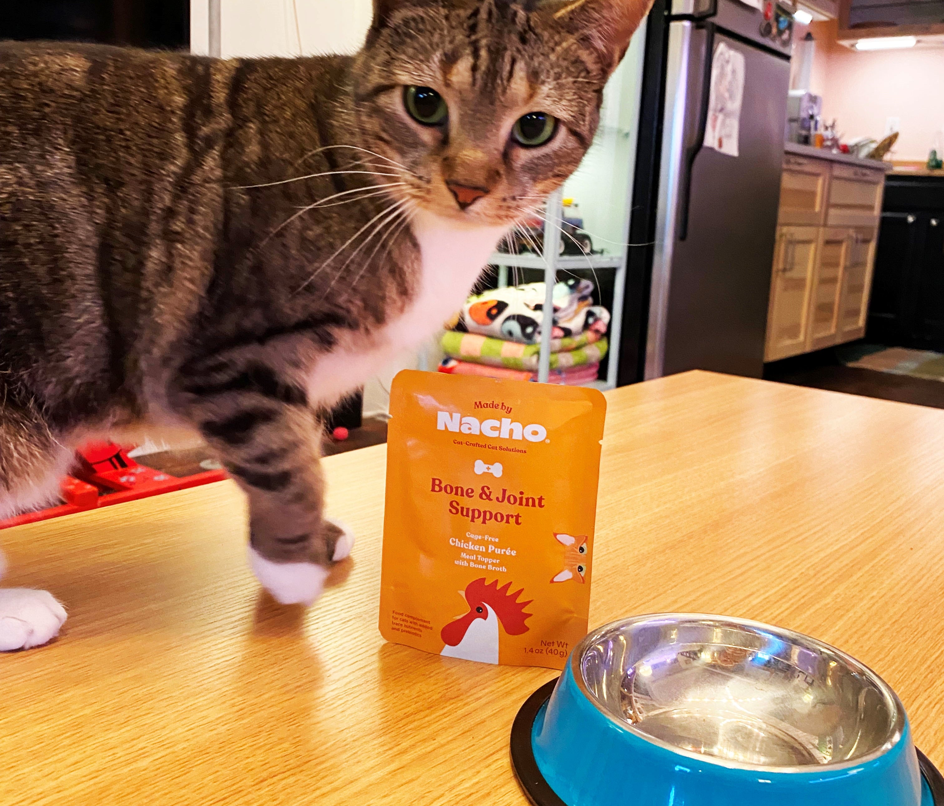 How to know when your cat needs functional nutrition