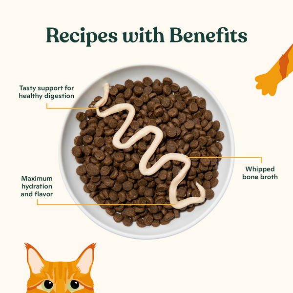 Digestive Support Lickable Mousse Treat