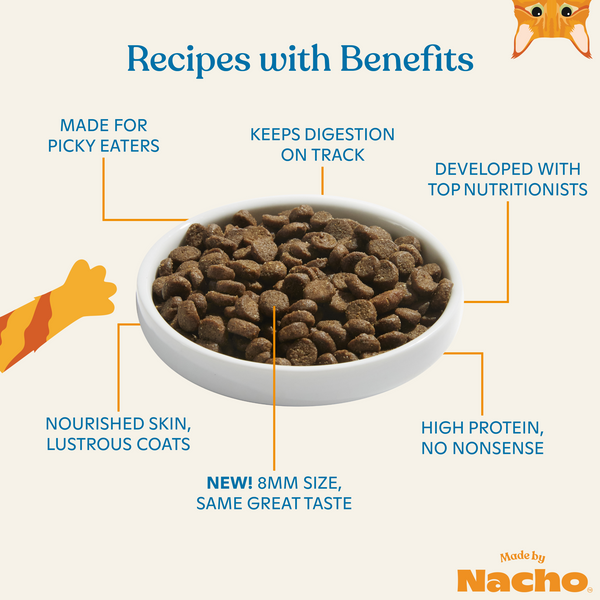 Best dry dog food for skin and clearance coat
