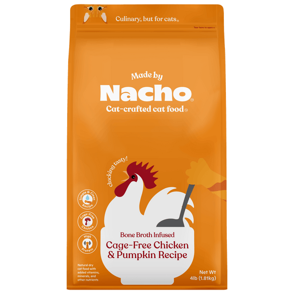 Bone broth sales for cats recipe