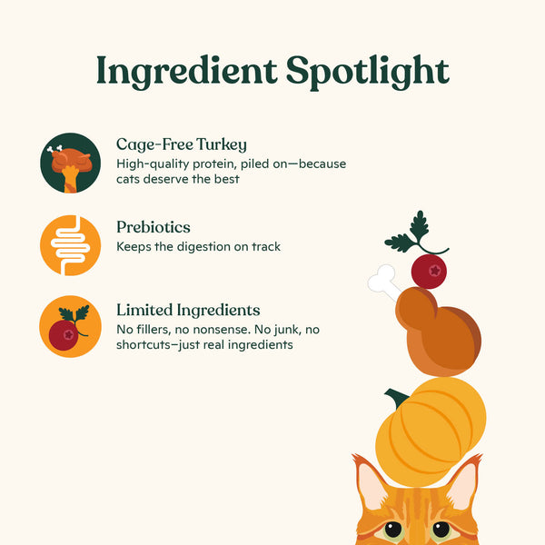 Cage-Free Turkey Bone Broth Topper