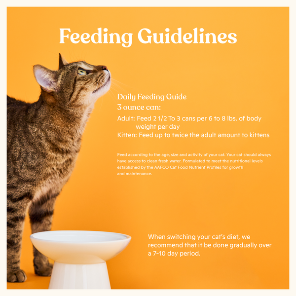 Flaked Tuna & Rainbow Trout