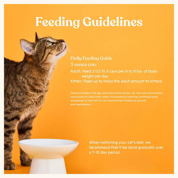 Flaked Tuna & Sea Bass