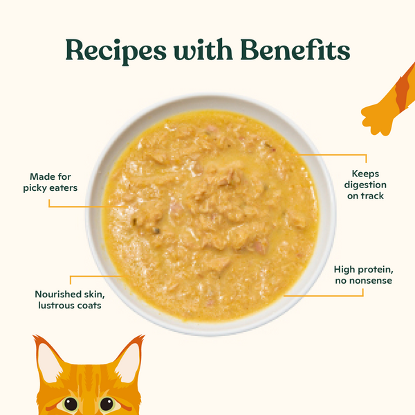 Chicken Shreds for Kittens