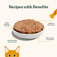 Tuna Pate for Kittens