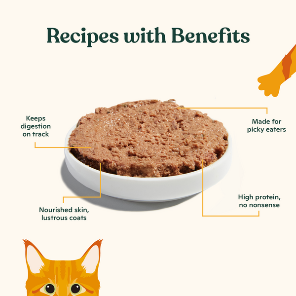 Tuna Pate for Kittens