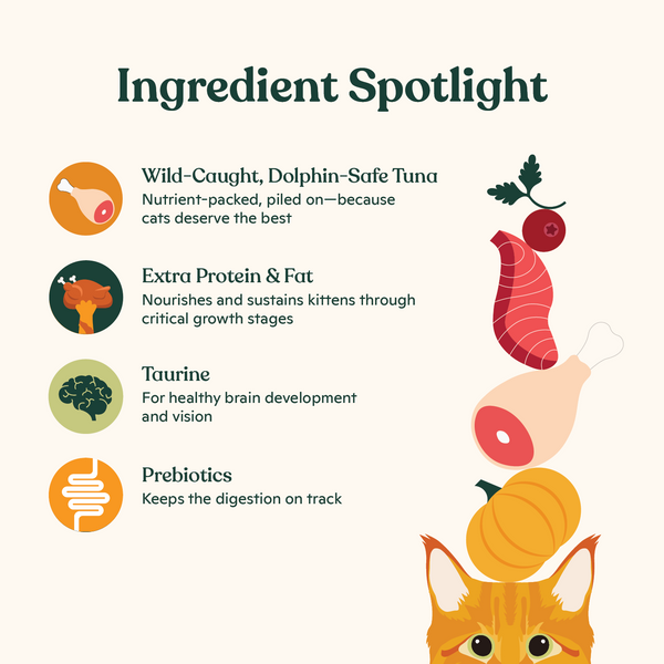 Tuna Pate for Kittens