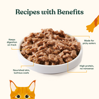 Minced Chicken for Kittens