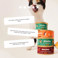 Minced Chicken for Kittens