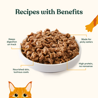 Minced Chicken & Herring