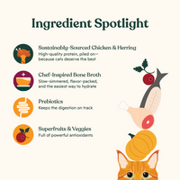 Grain-Free Chicken & Herring Pâté