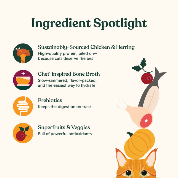 Grain-Free Chicken & Herring Pâté