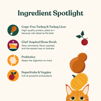 Grain-Free Turkey and Turkey Liver Recipe Pâté