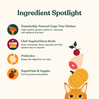 Bone Broth Infused Kibble Cage-Free Chicken & Pumpkin Recipe