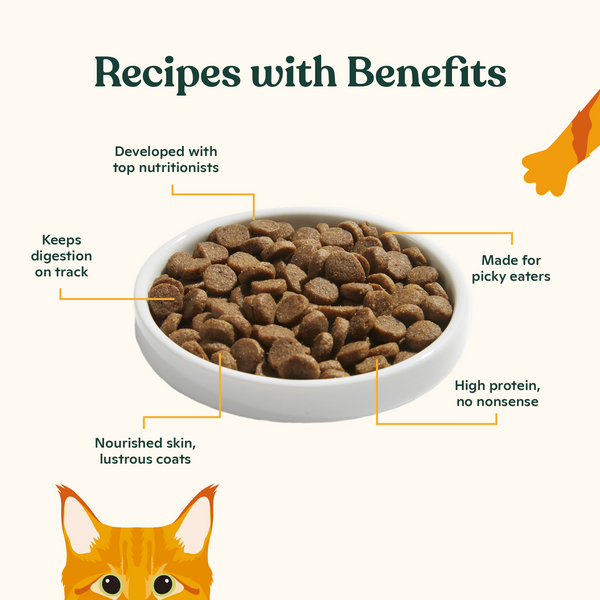 Chicken & Chicken Liver Kibble for Kittens