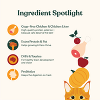 Chicken & Chicken Liver Kibble for Kittens