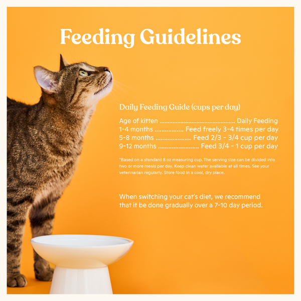 Chicken & Chicken Liver Kibble for Kittens