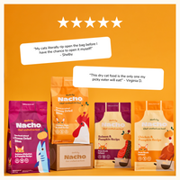 Chicken & Chicken Liver Kibble for Kittens