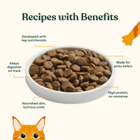 Bone Broth Infused Kibble Sustainably Caught Salmon & Pumpkin Recipe