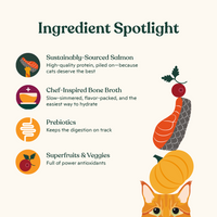 Bone Broth Infused Kibble Sustainably Caught Salmon & Pumpkin Recipe