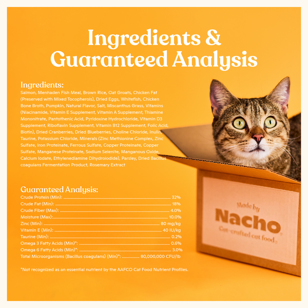 Bone Broth Infused Kibble Sustainably Caught Salmon & Pumpkin Recipe