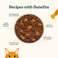 Salmon, Whitefish, & Pumpkin Kibble