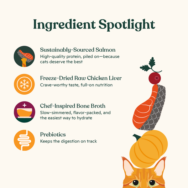 Salmon, Whitefish, & Pumpkin Kibble