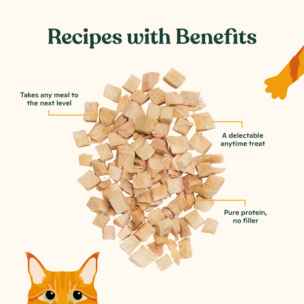 Freeze-Dried Wild Alaskan Salmon Treats