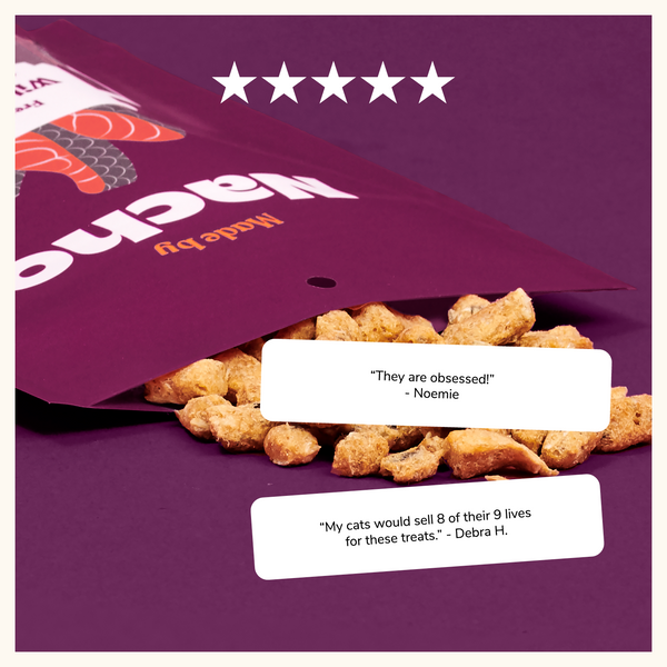 Freeze-Dried Wild Alaskan Salmon Treats