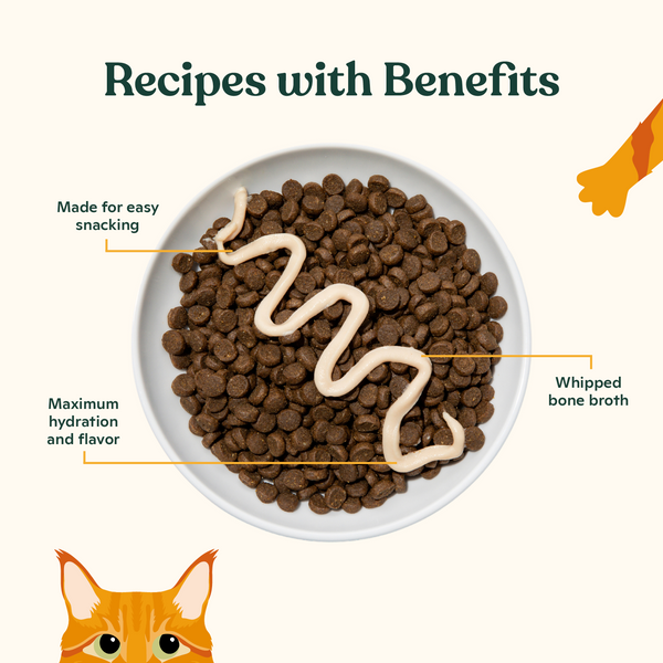 Lickable Mousse Treats Chicken and Salmon Duo