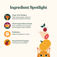 Chicken Cuts in Gravy