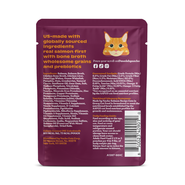 Salmon Cuts in Gravy