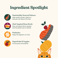 Salmon Cuts in Gravy