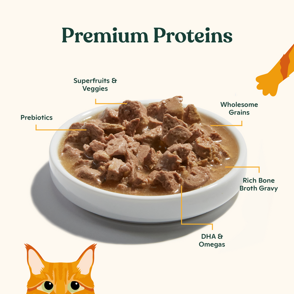 Cuts in Gravy Variety Pack