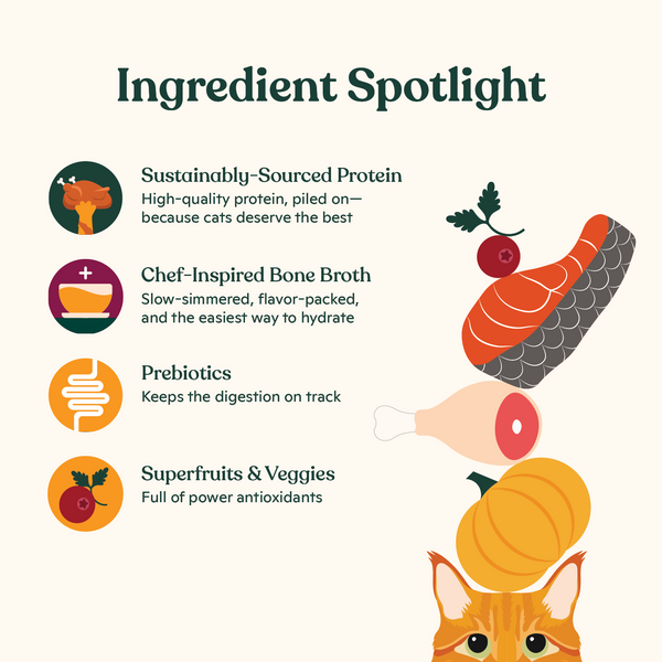 Cuts in Gravy Variety Pack