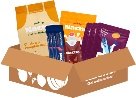 Made by Nacho Starter Kit