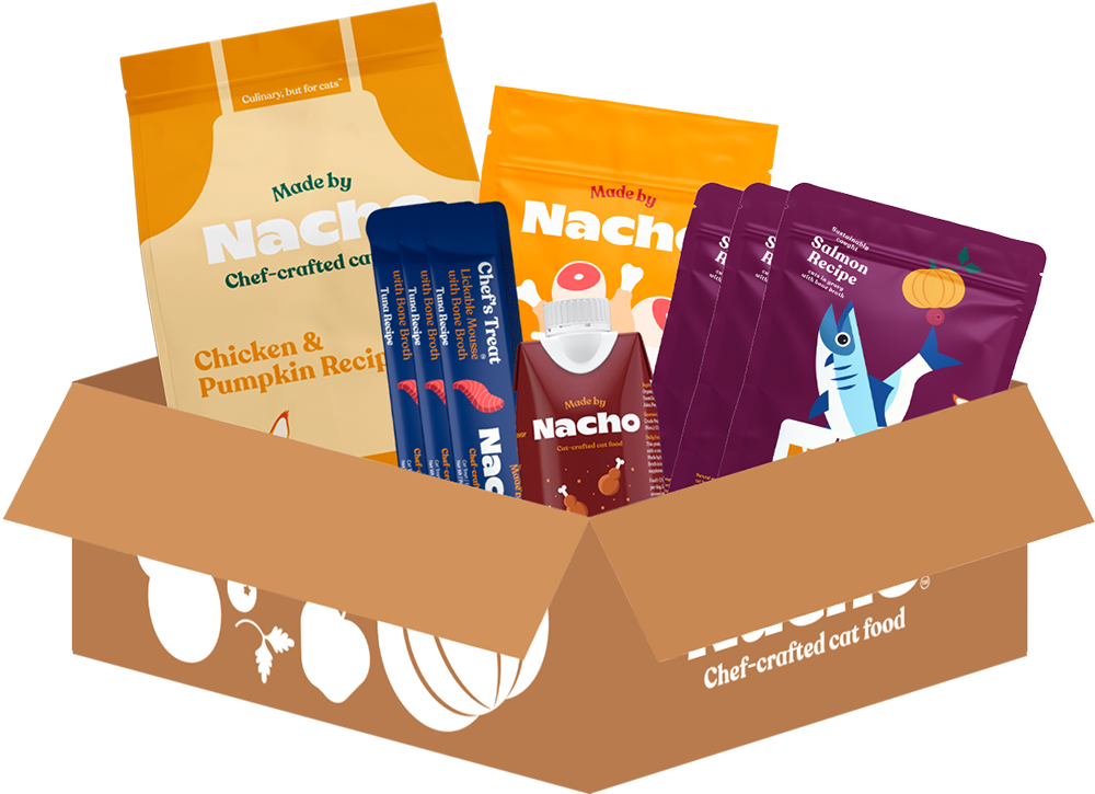 Made by Nacho Starter Kit – Made By Nacho