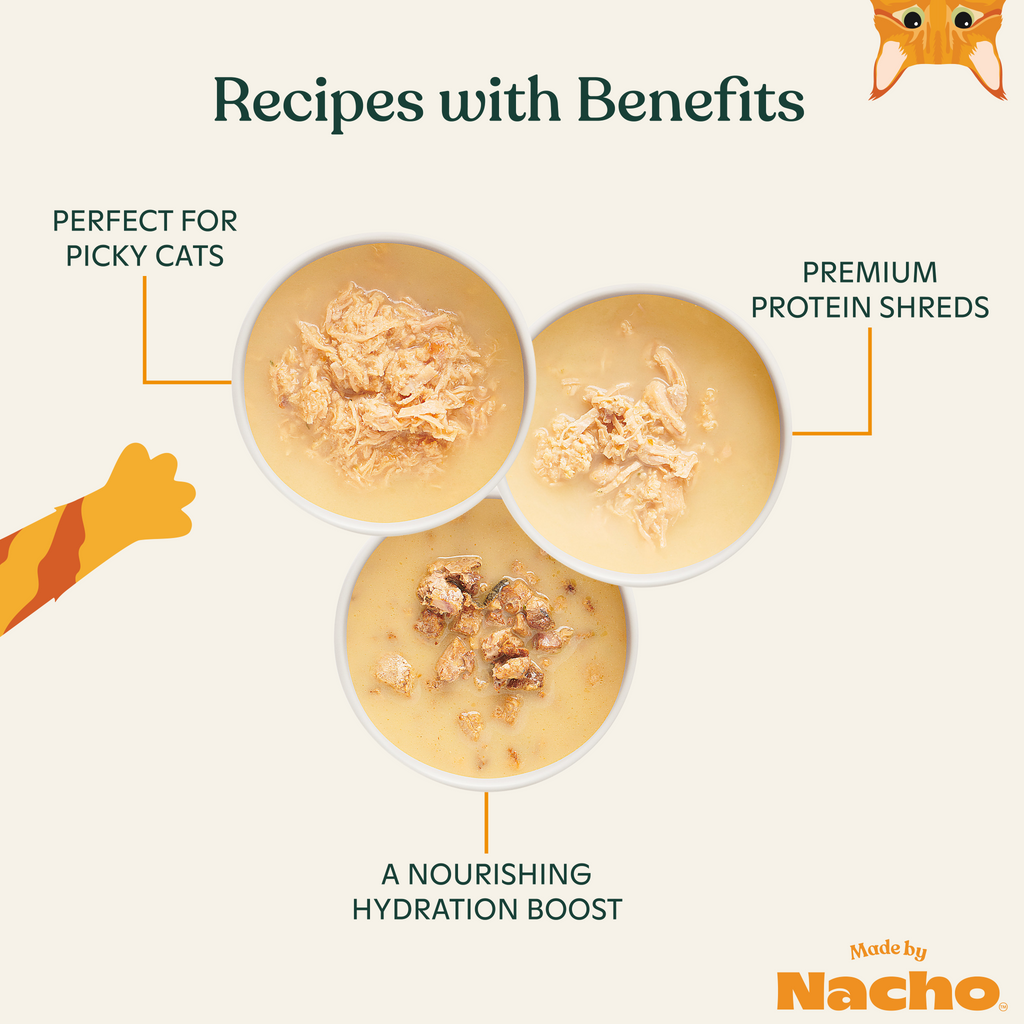 Homestyle Bone Broth Recipe Variety Pack with Protein Shreds & Flakes